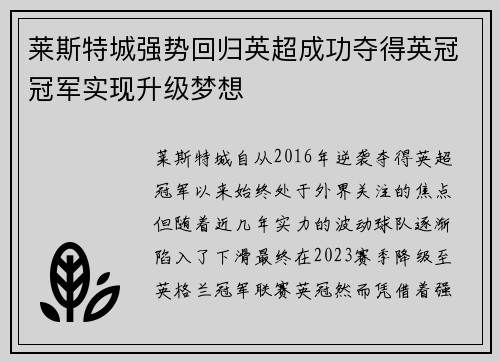 莱斯特城强势回归英超成功夺得英冠冠军实现升级梦想